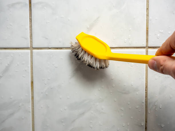 Trusted Pine Hills, CA Mold Removal Experts