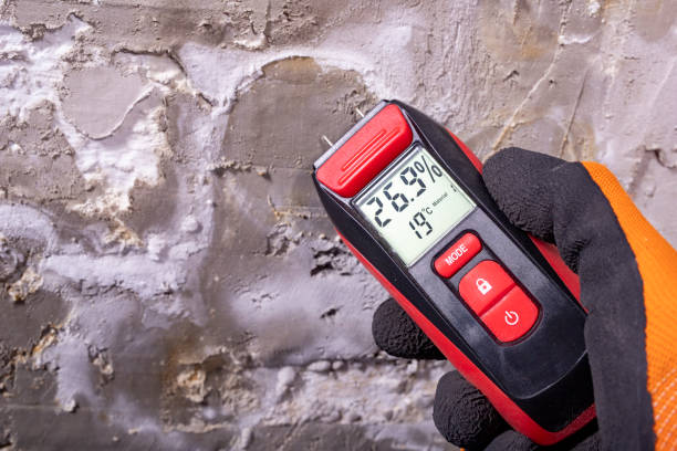Best Mold Cleaning Services  in Pine Hills, CA