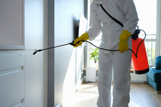 Best Mold Remediation  in Pine Hills, CA