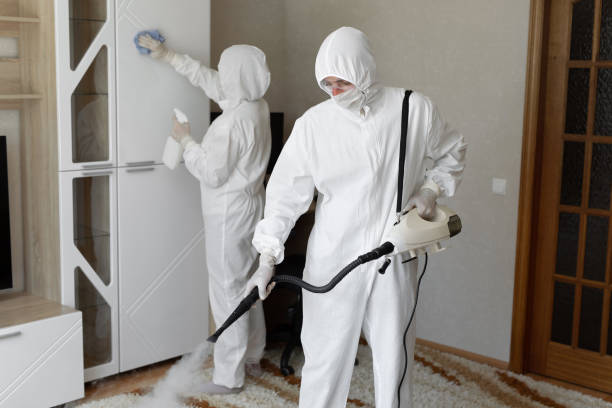 Best Toxic Mold Removal  in Pine Hills, CA