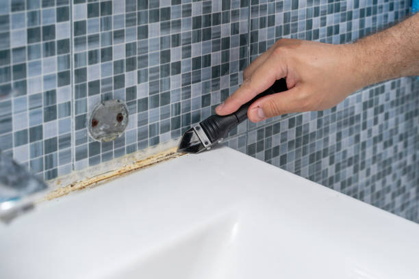 Best Same-Day Mold Removal  in Pine Hills, CA