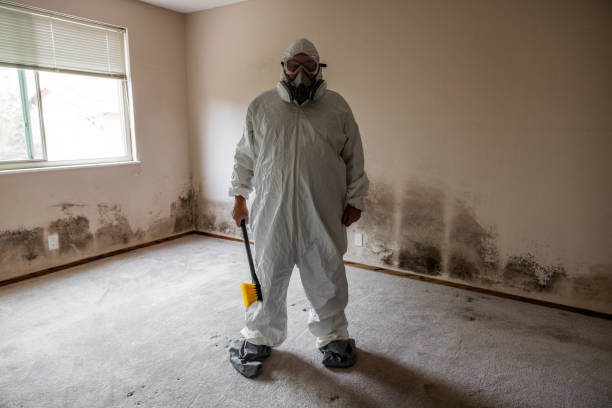 Best Commercial Mold Removal  in Pine Hills, CA